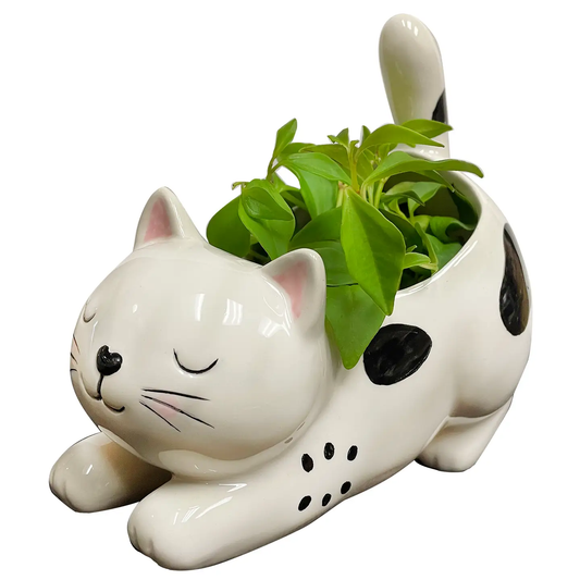 Raise Your Bum Kitty Planter