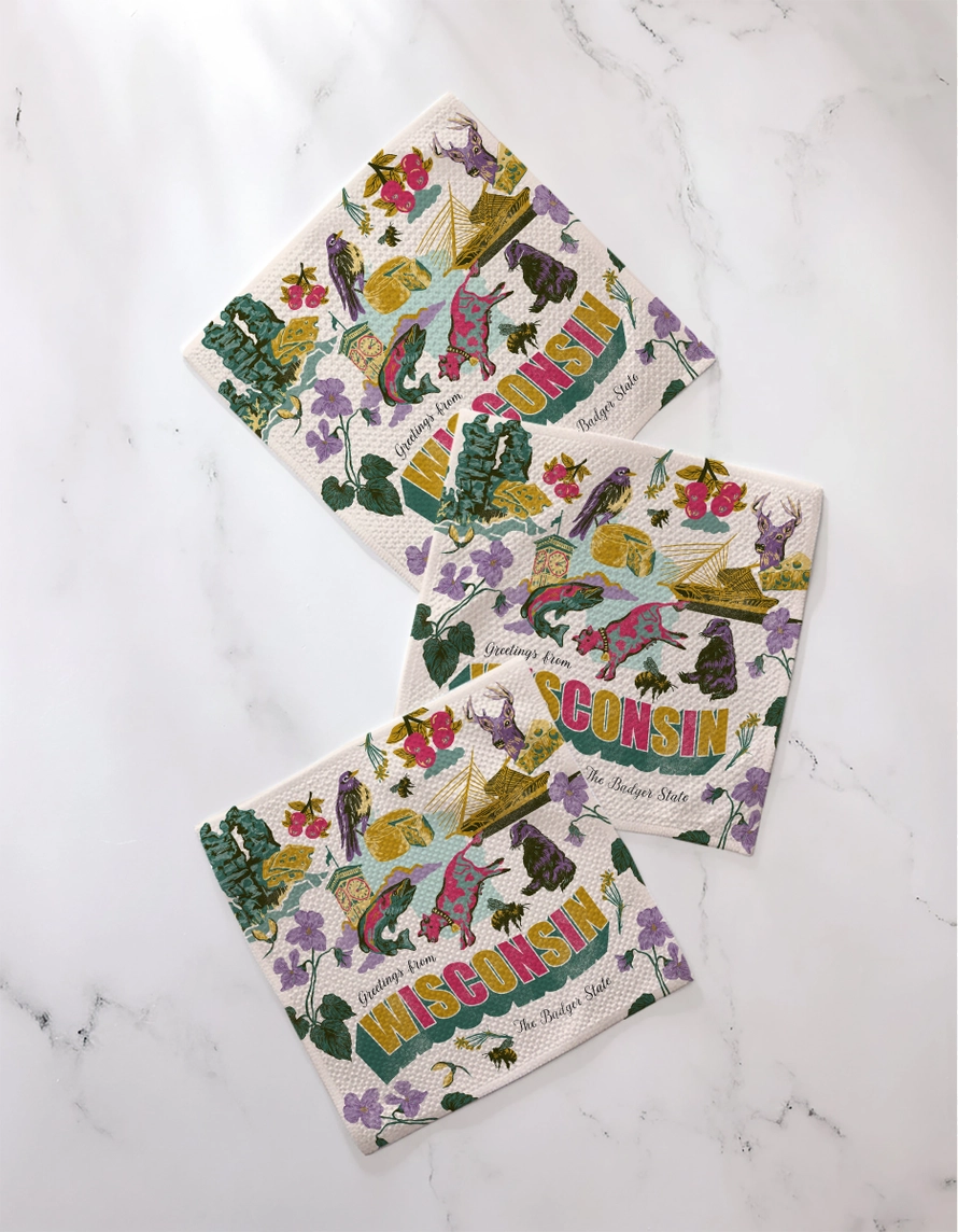 Geometry Dishcloth Pack:  Greetings from Wisconsin
