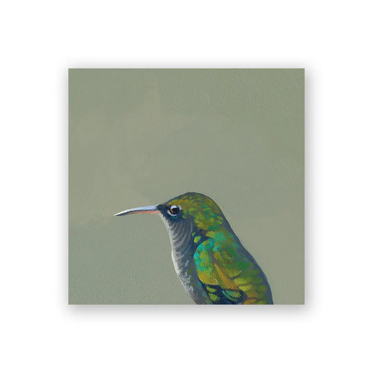 Female Violet Sabrewing Hummingbird Wood Wall Art