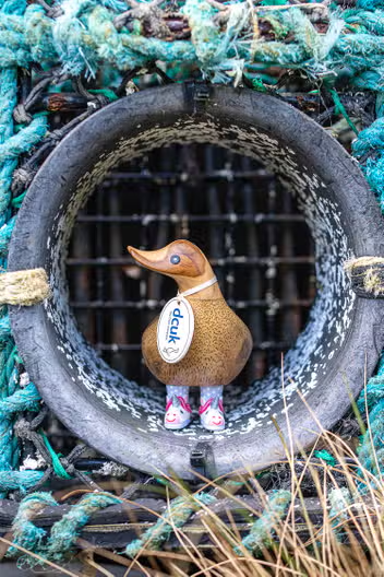 Wild Wellie Duck w/ Boots