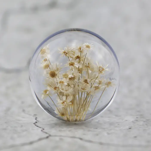 Natural Flower Glass Resin - White Daisy