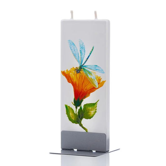 Flat Candle Dragonfly