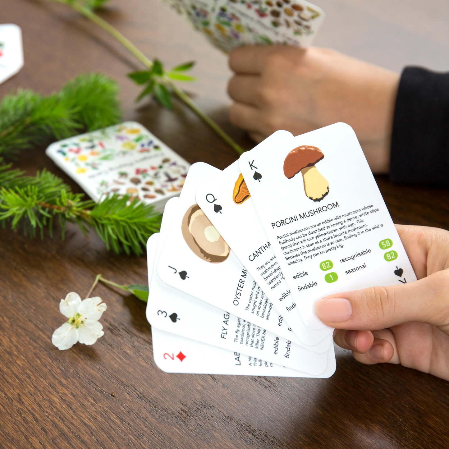 Playing Cards Foragers