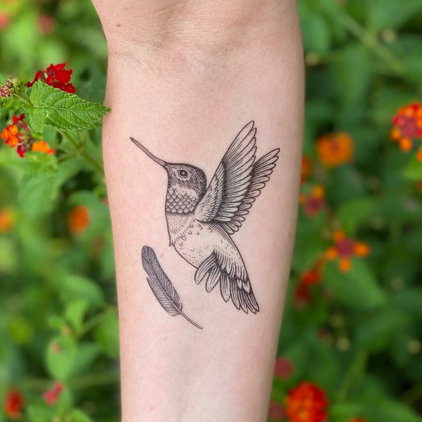 Hummingbird Temporary Tattoo