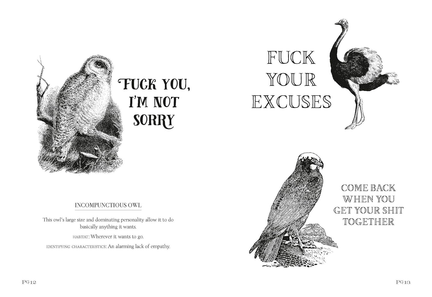 Effin' Birds Books