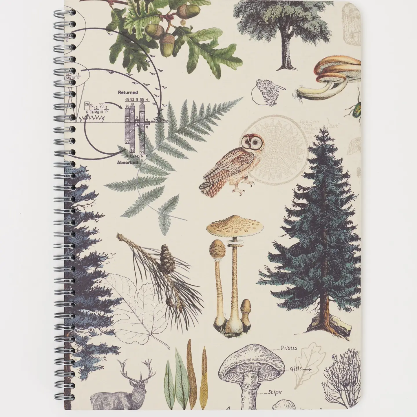 Into the Forest Spiral Notebook