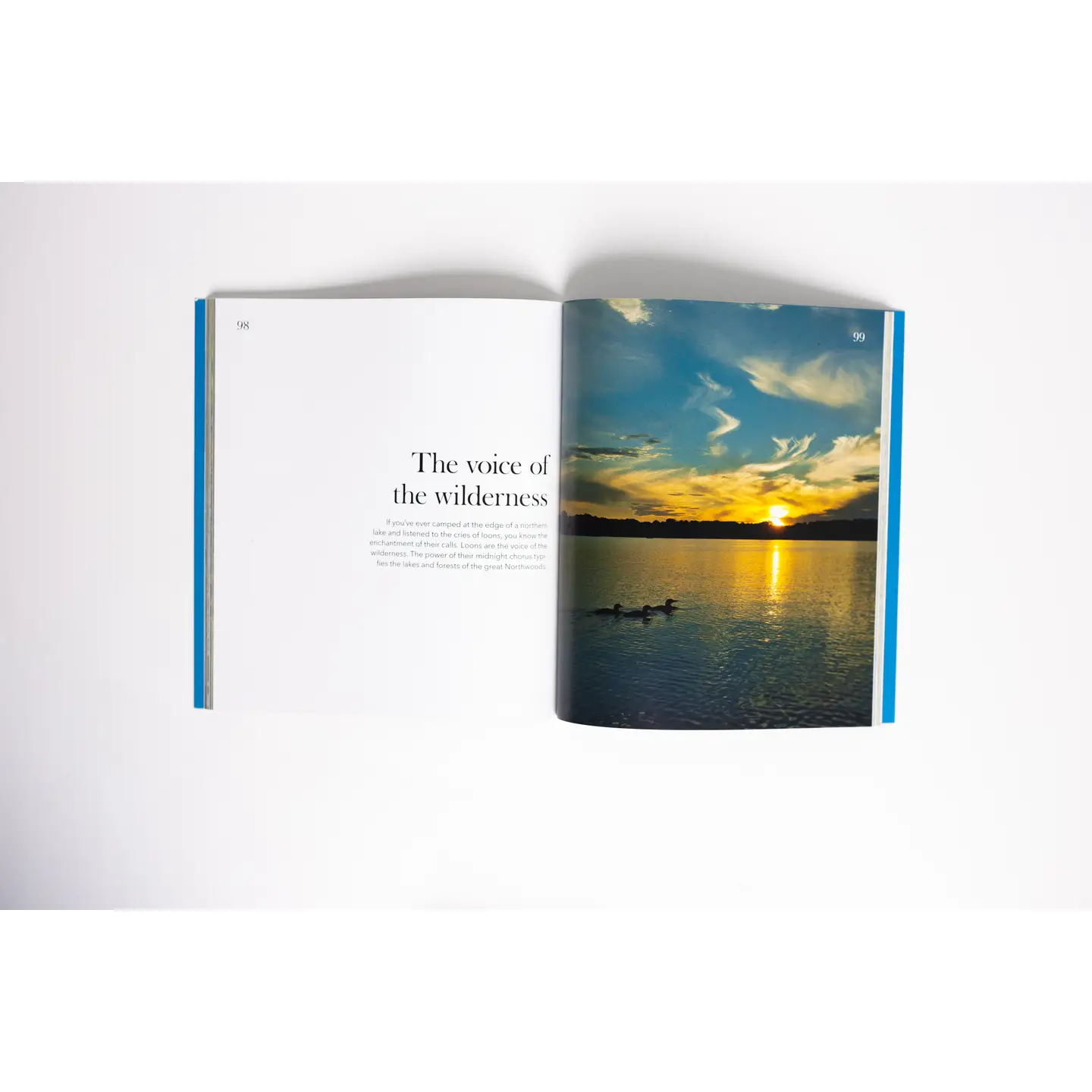 Loons: the Iconic Waterbirds Book