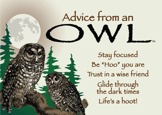 Magnet Advice from an Owl