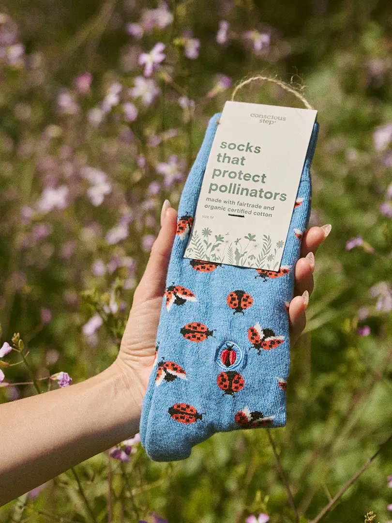 Socks That Protect Pollinators Ladybugs