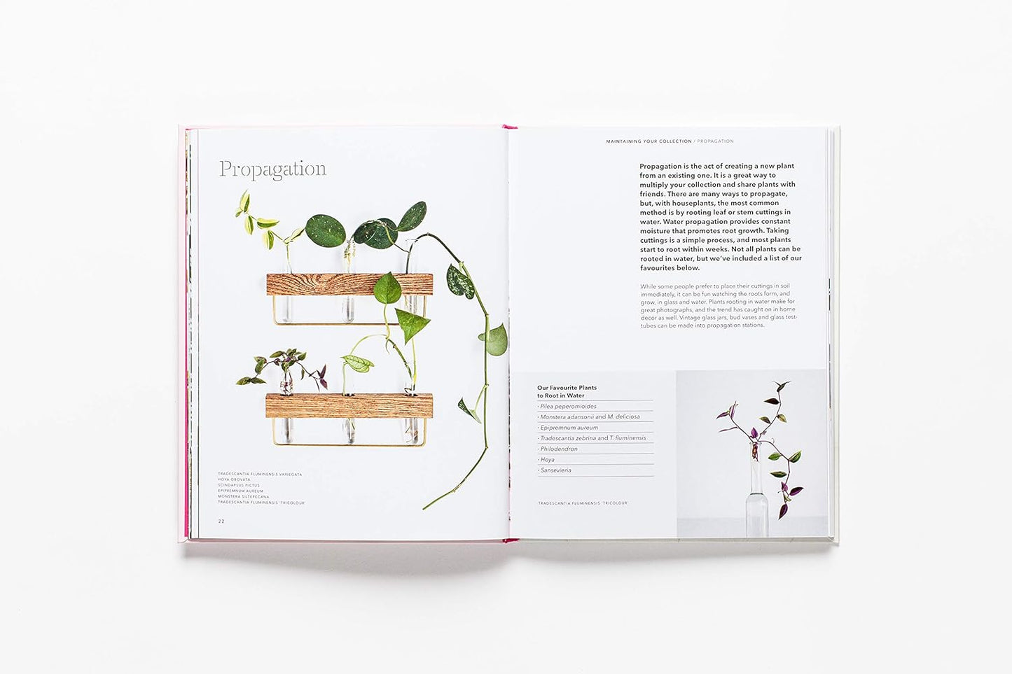 How To Raise A Plant Book