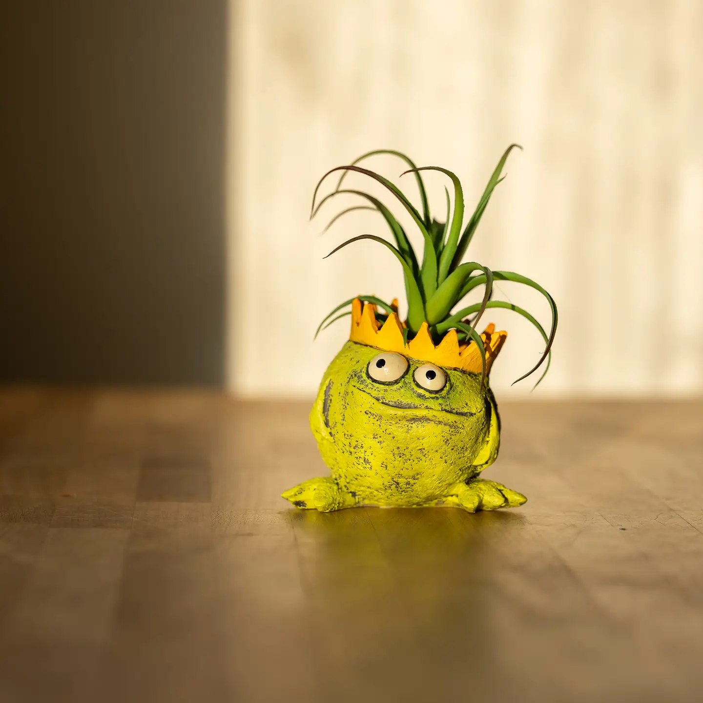 Charlie King Frog Planter