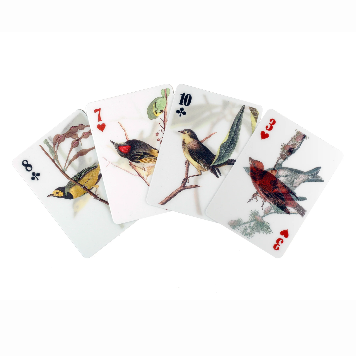 3D Playing Cards Birds