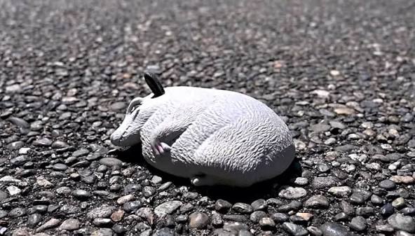 Splat Opossum