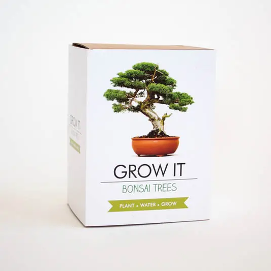 Bonsai Trees Grow Kit