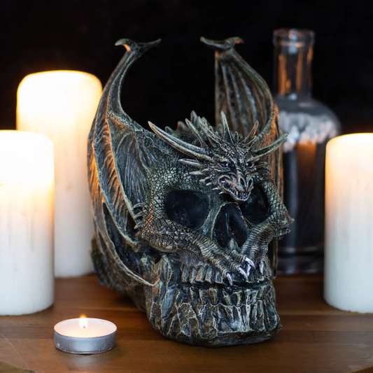 Draco Dragon Skull