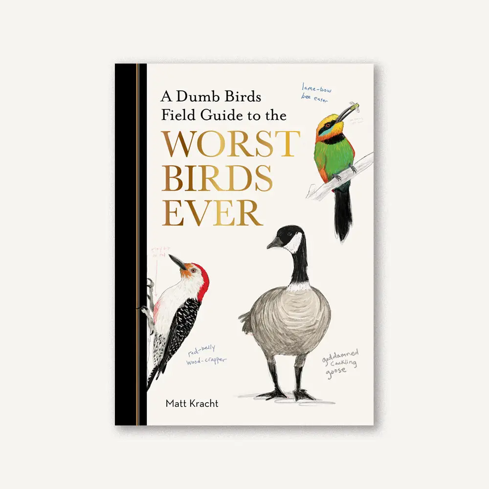 Dumb Birds Field Guide Book