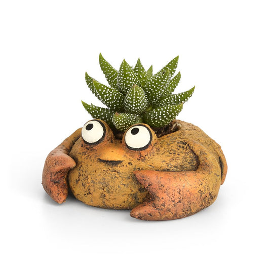 Clawdia Crab Planter