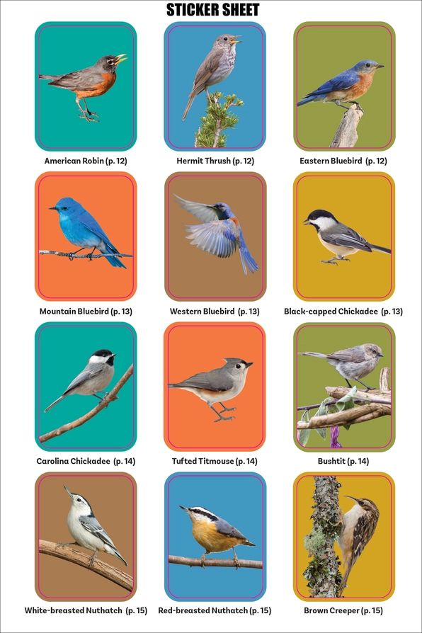 The Birder's Logbook