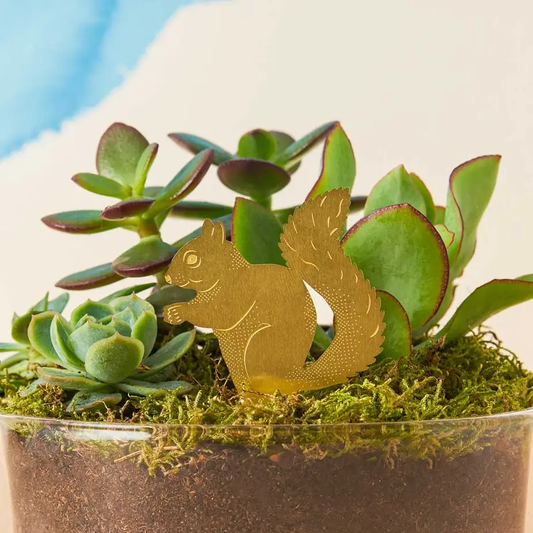Plant Decoration - Squirrel
