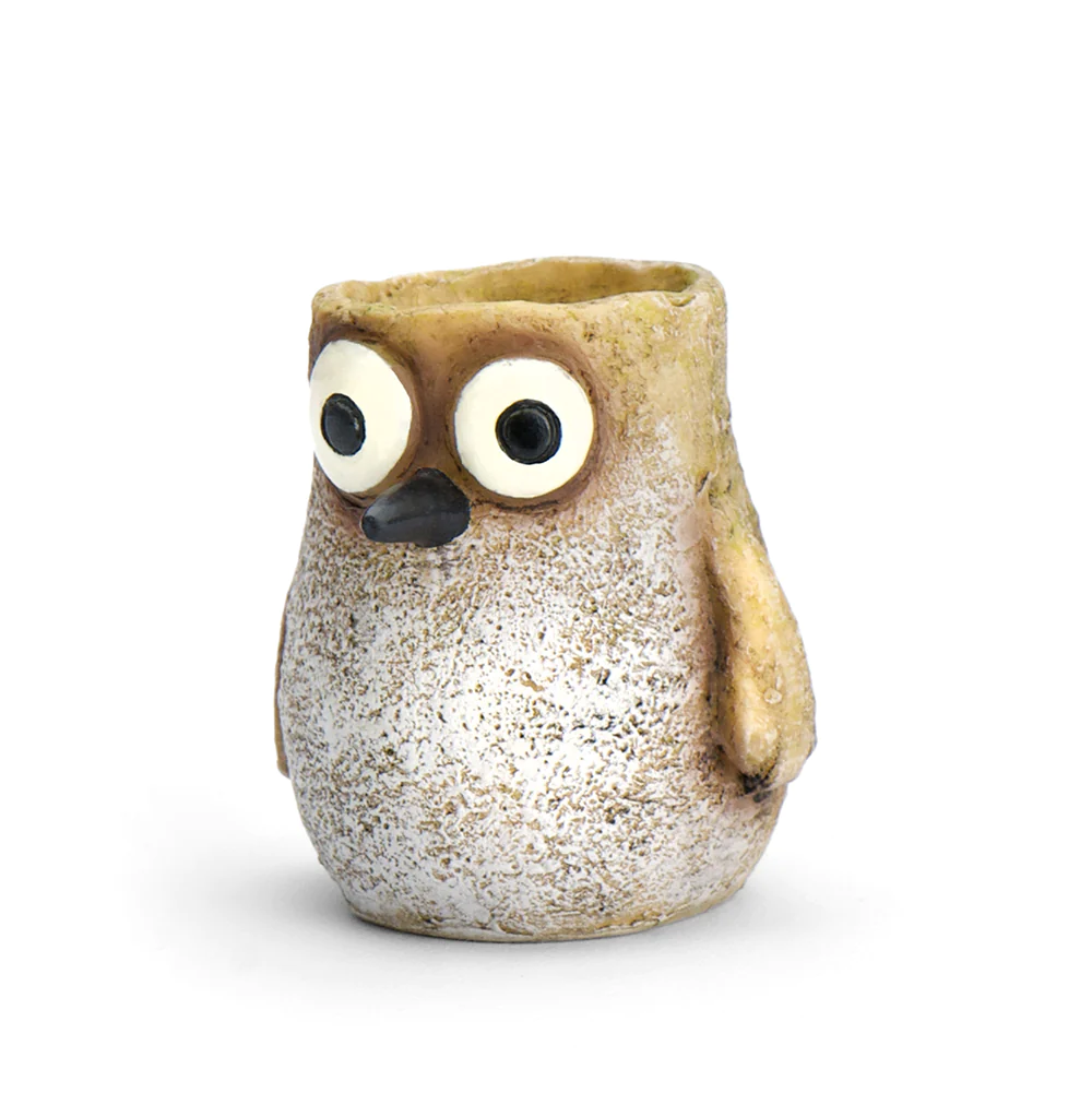 Baby Sandpiper Bird Mini Planter