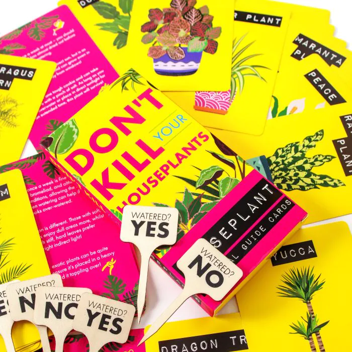 Don't Kill Your Houseplant Survival Cards