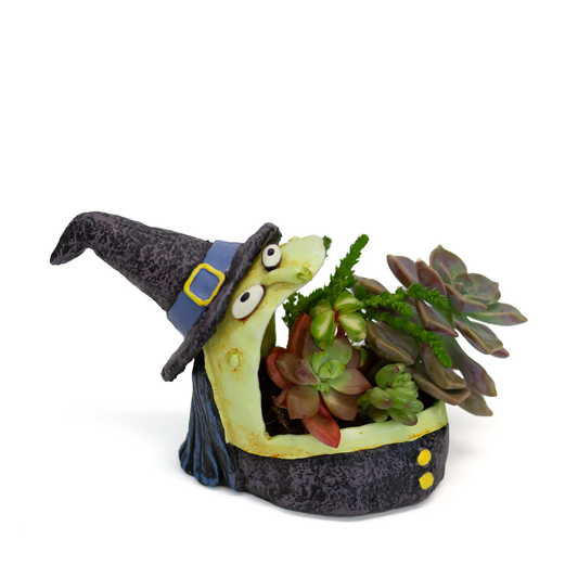 Winifred Witch Planter