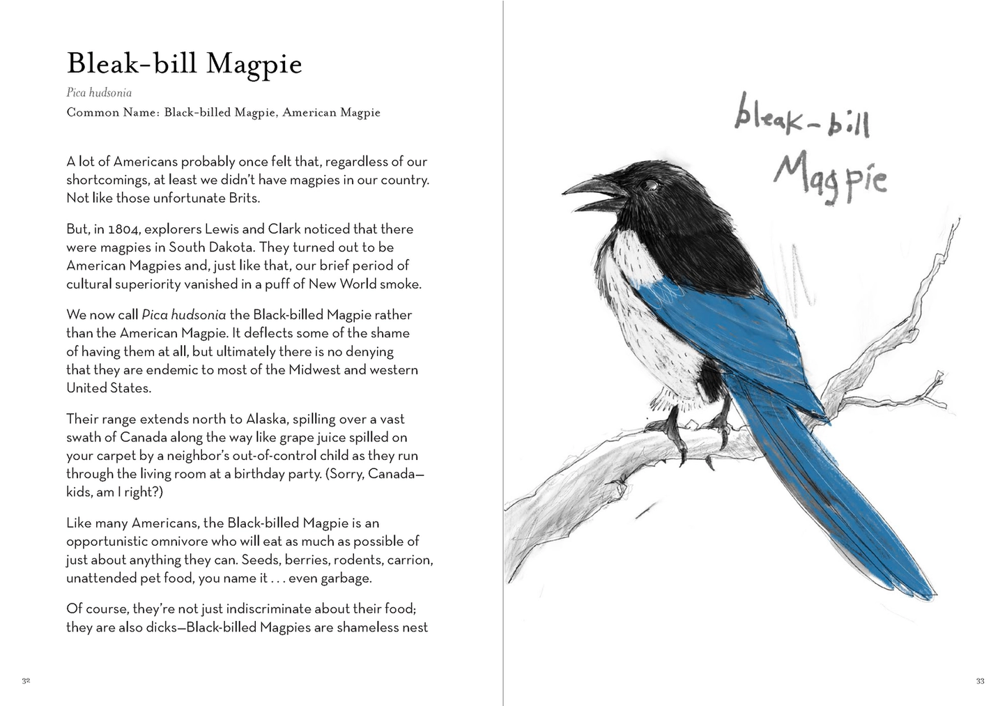 Dumb Birds Field Guide Book