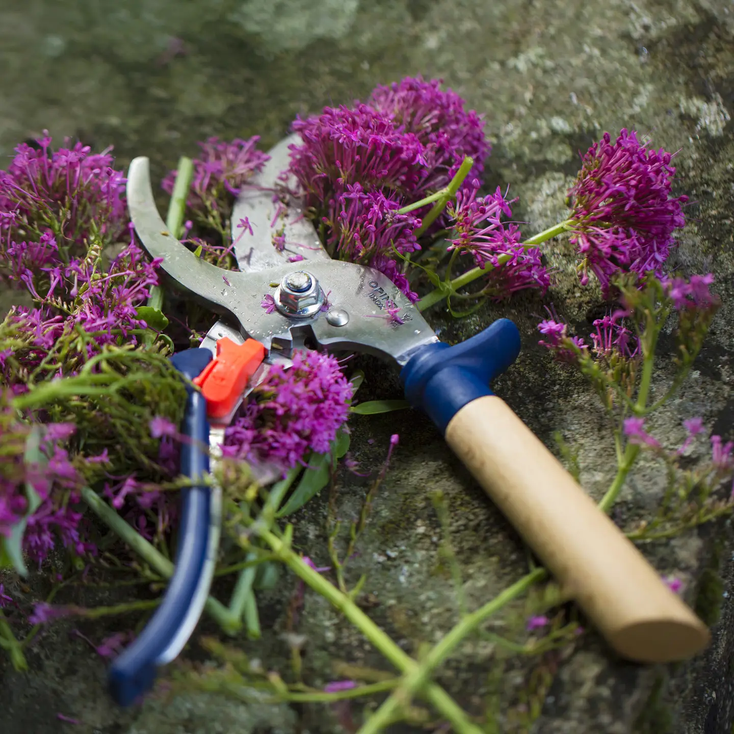 Gardening Shears Blue