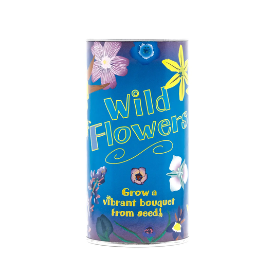 Wildflower Mix Seed Grow Kit