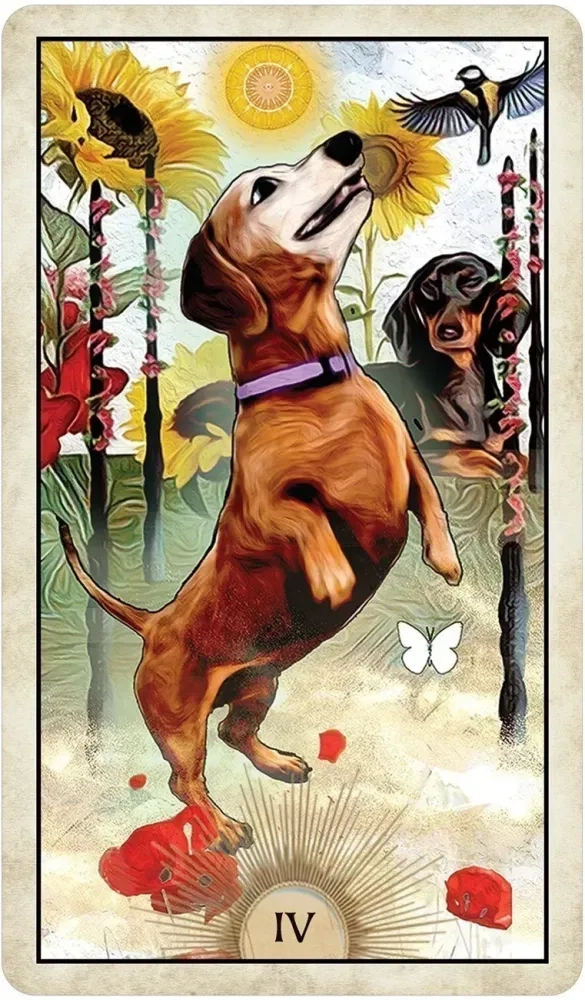 Wise Dog Tarot