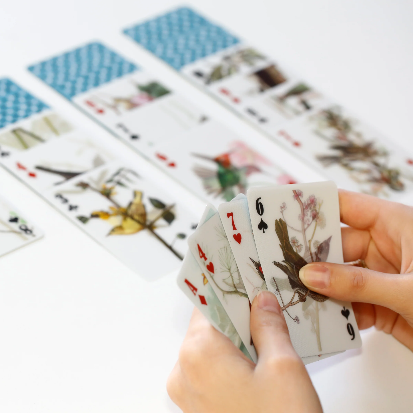 3D Playing Cards Birds