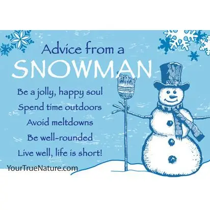 Magnet Advice from a Snowman