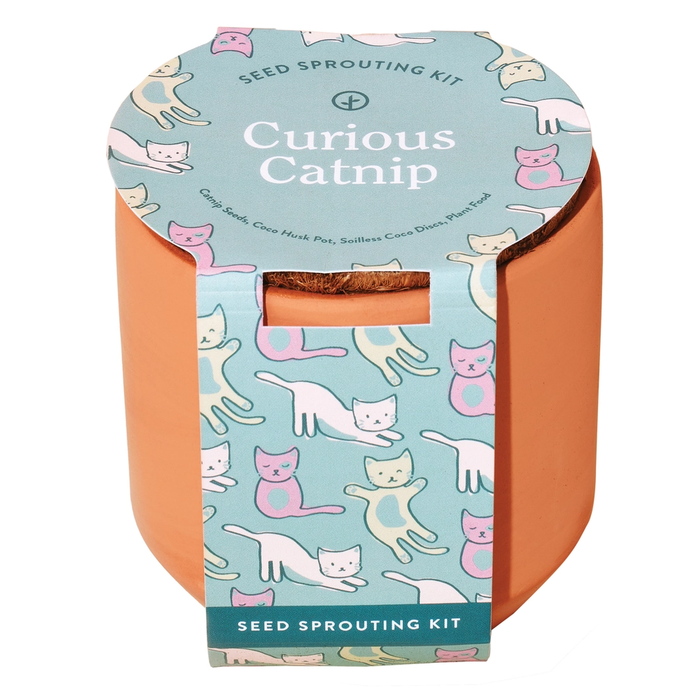 Tiny Terracotta Curious Catnip Grow Kit