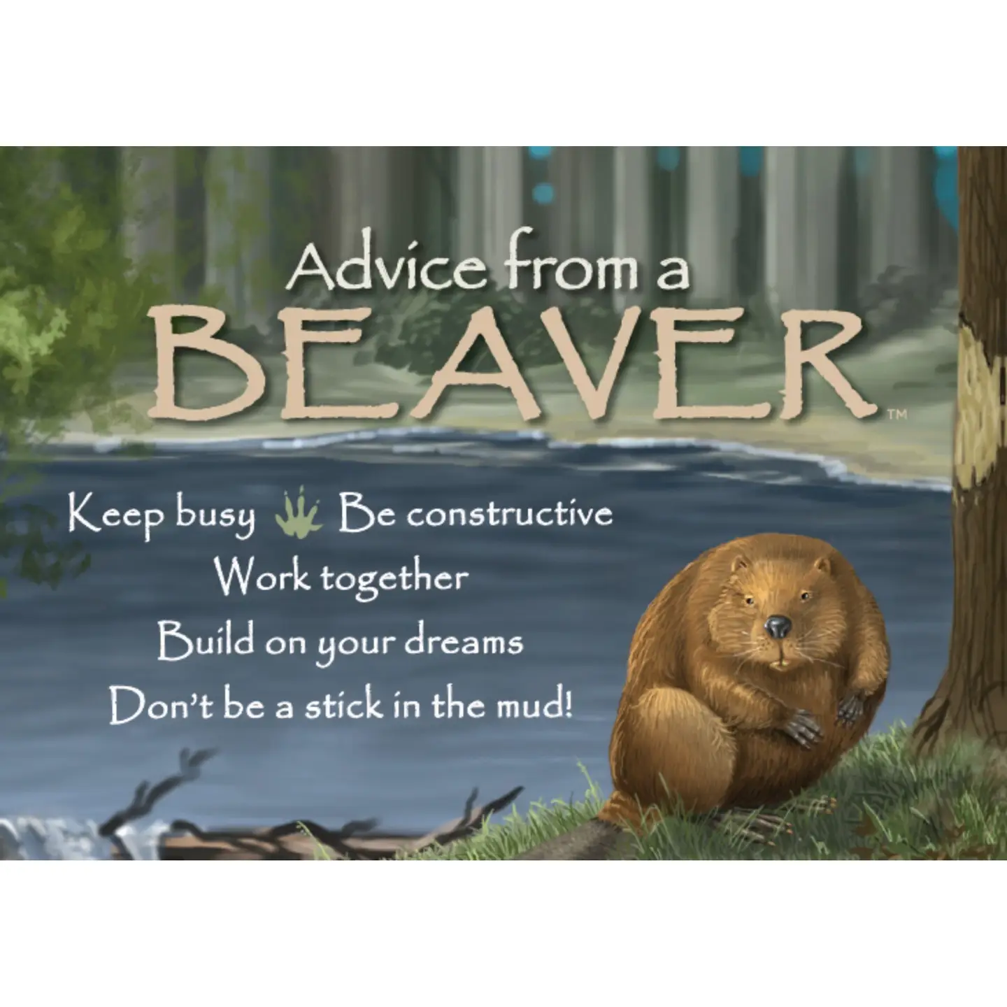 Magnet Advice from a Beaver