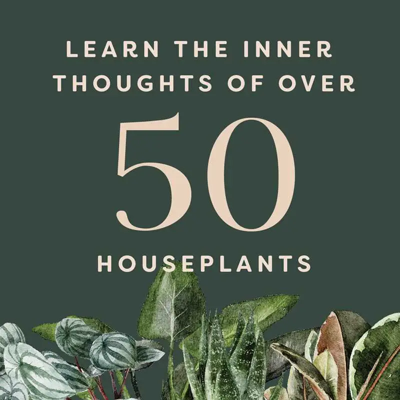 Houseplants and Their F*cked-Up Thoughts Book