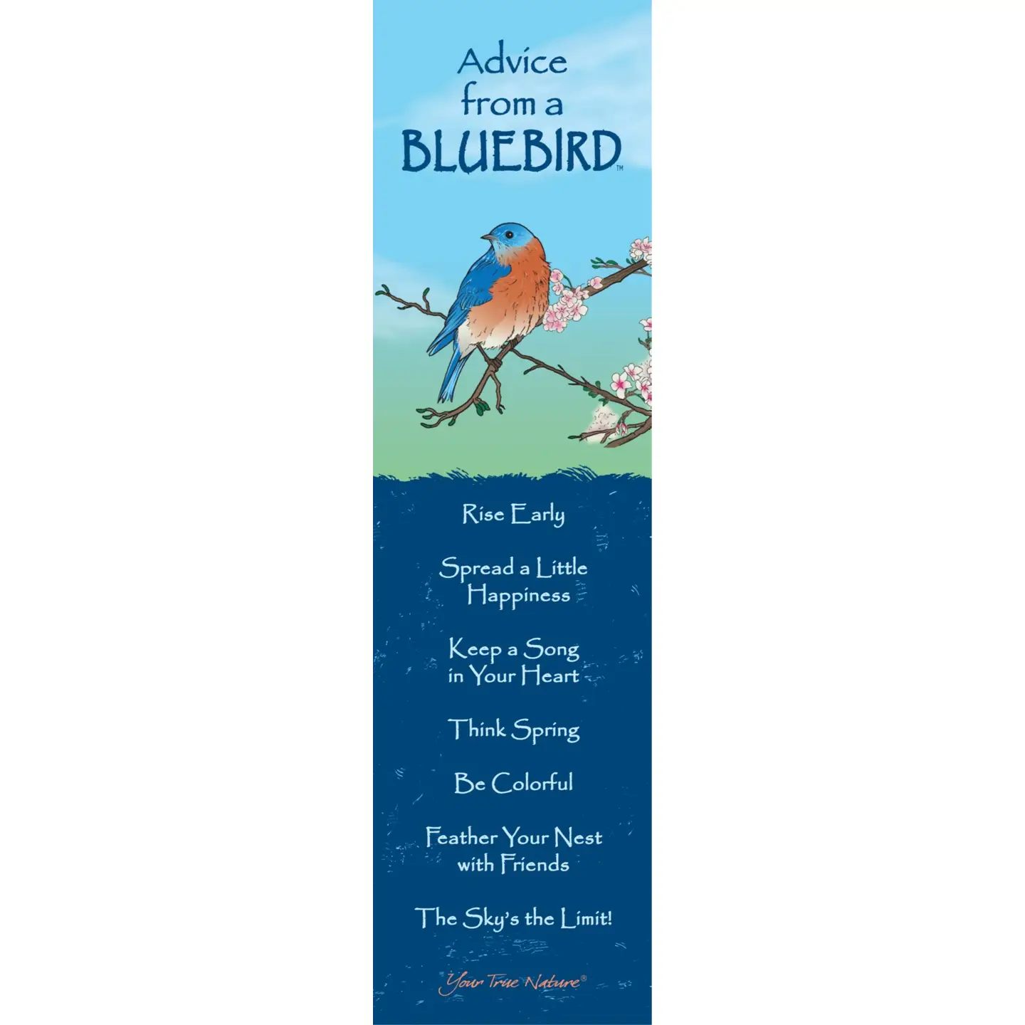 Bookmark Advice from a Bluebird