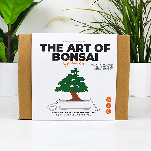 The Art of Bonsai