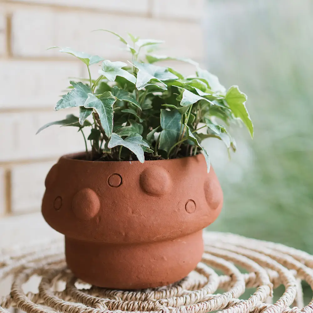 Rakshana Mushroom Plant Pot Terracotta