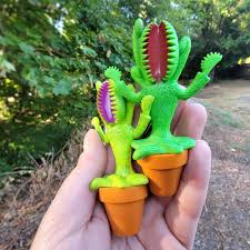 Meditating Venus Flytrap