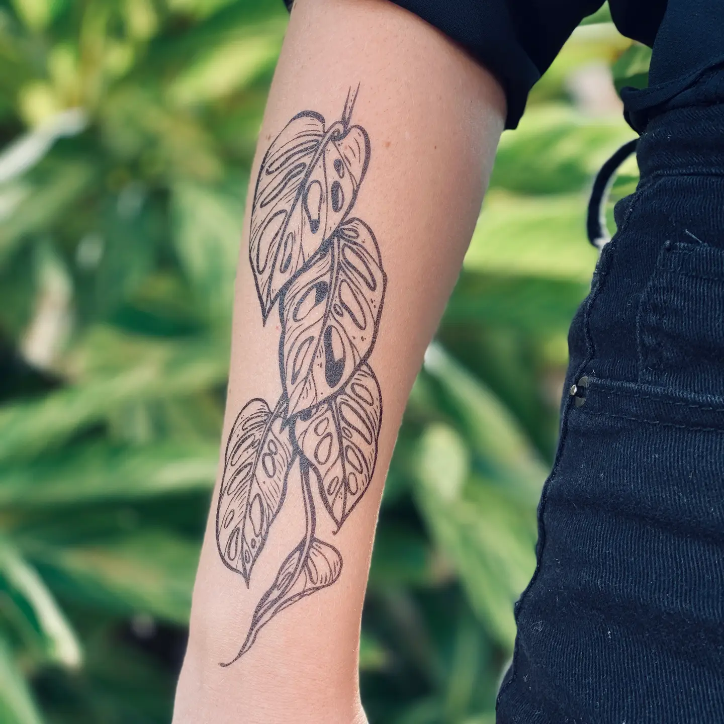 Monstera Vine Temporary Tattoo