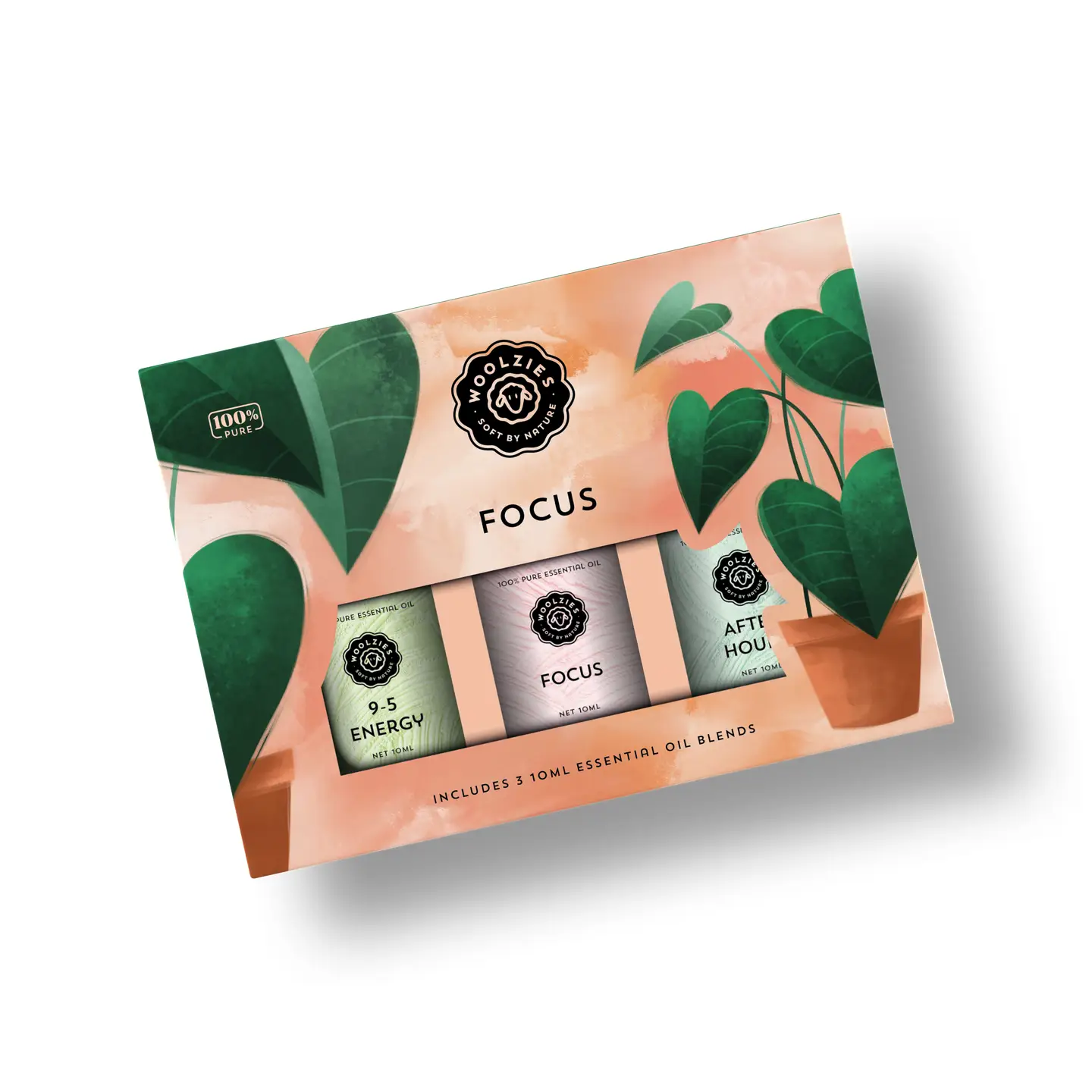 Focus Essential Oil Set