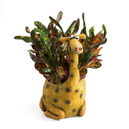 George Giraffe Planter