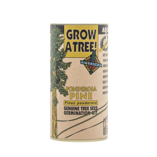 Ponderosa Pine Seed Grow Kit