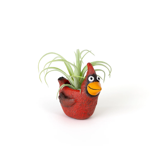 Ruby Mini Cardinal Planter