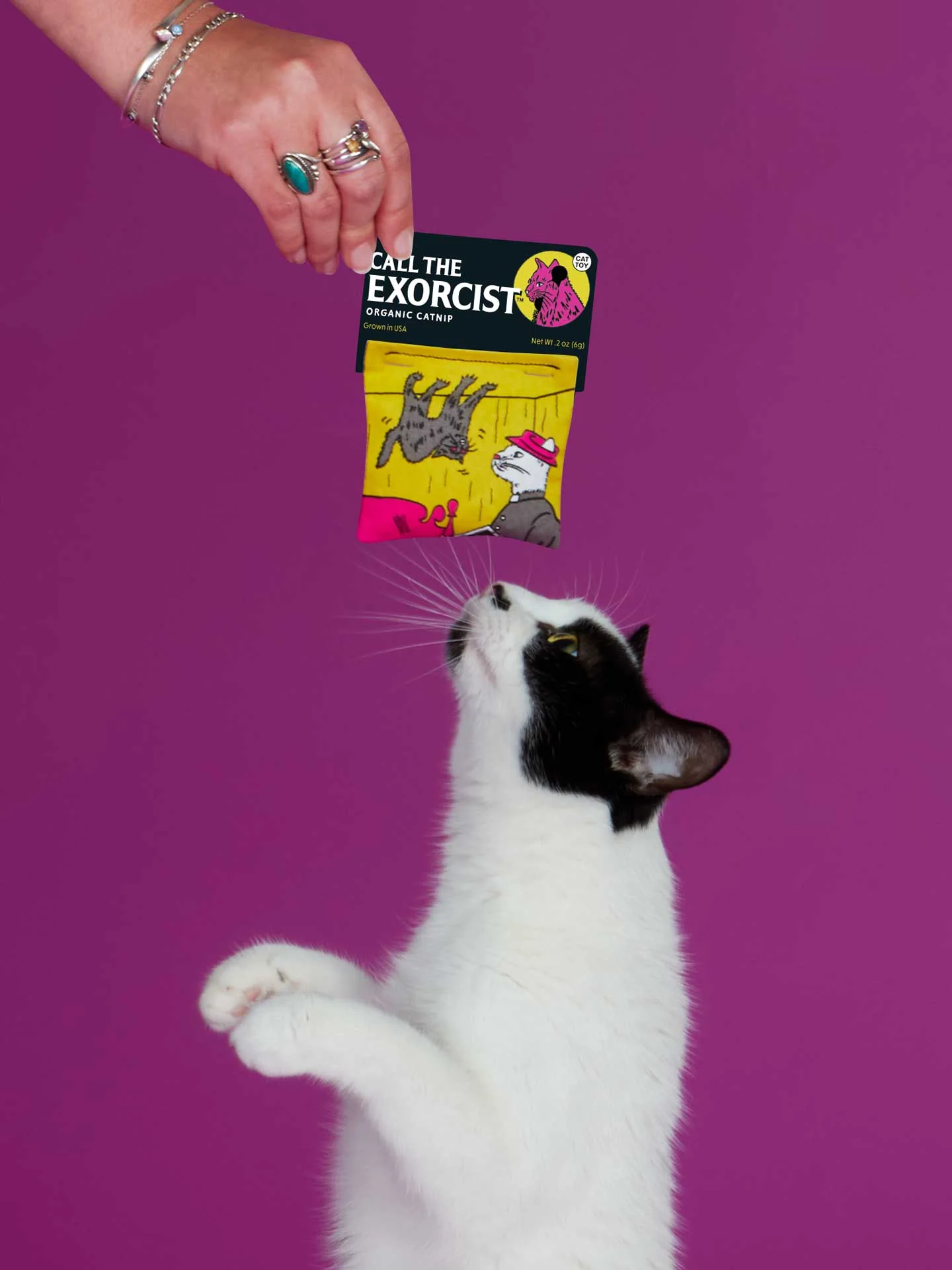 Catnip Call the Exorcist Toy