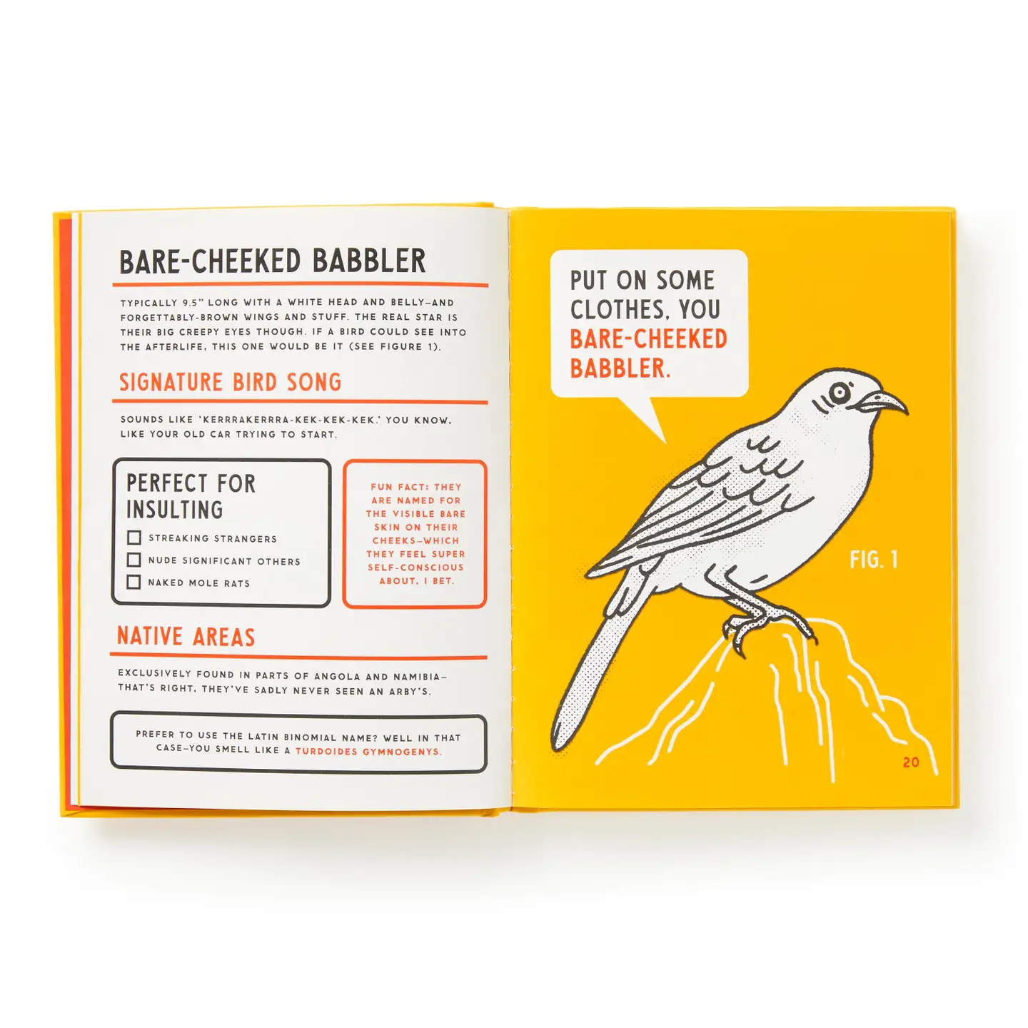 Brass Monkey An Illustrated Guide To Birds Book
