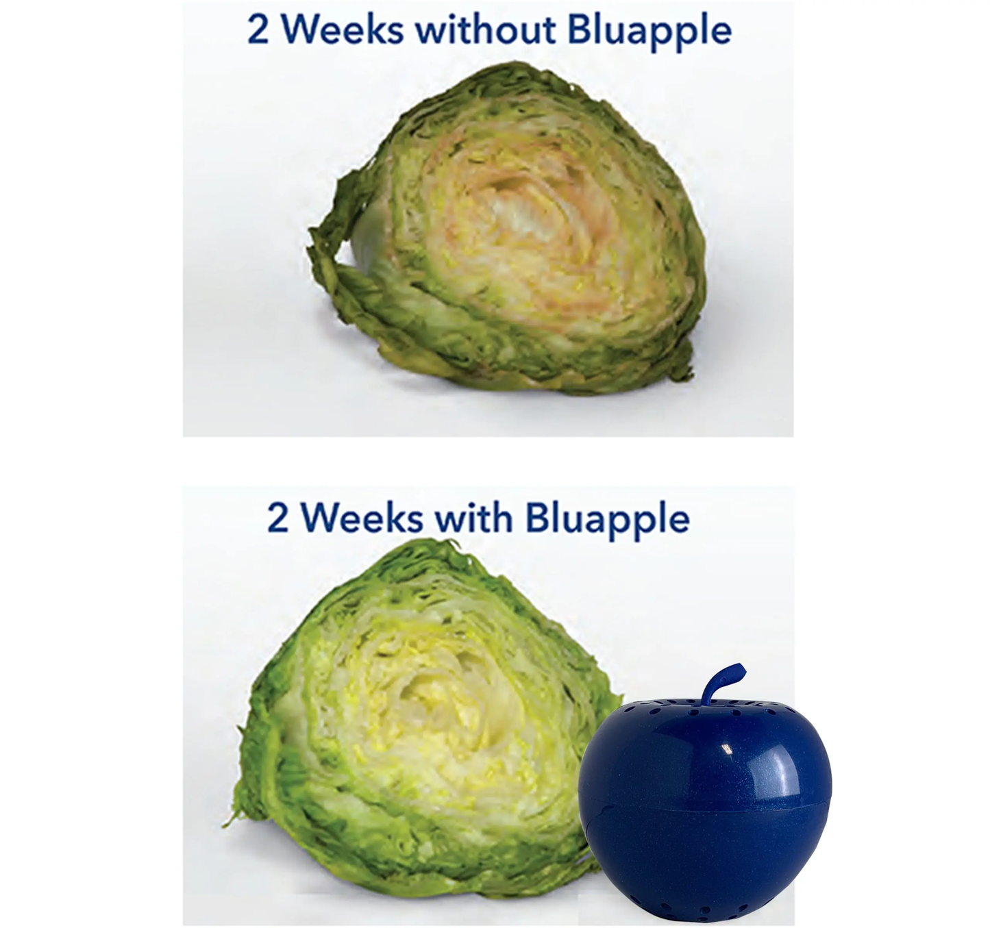 Bluapple 2 Pack