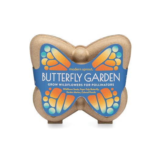 Butterfly Activity Kit Curious
