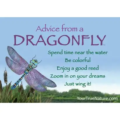 Magnet Advice from a Dragonfly