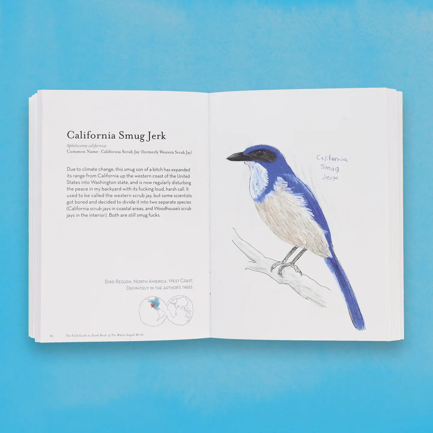 The Field Guide To Dumb Birds of the Whole World Book